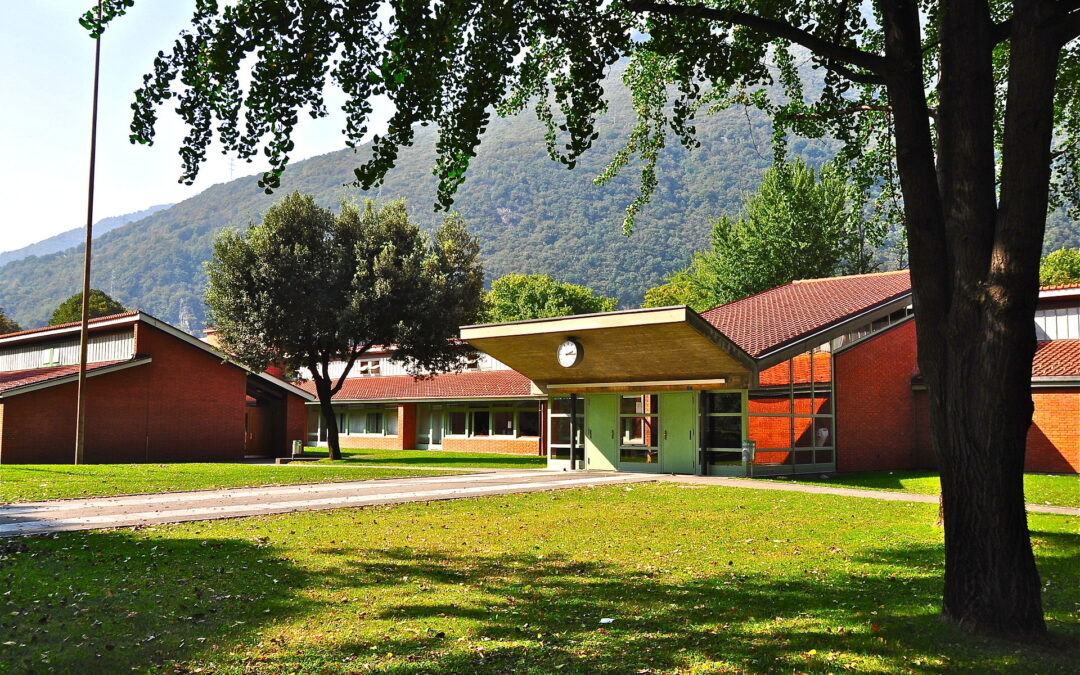 Assemblea delle e dei docenti del settore medio